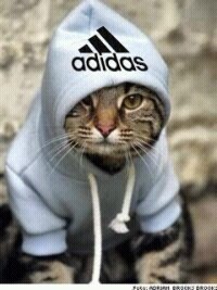 Андрей Силантьев | Санкт-Петербург