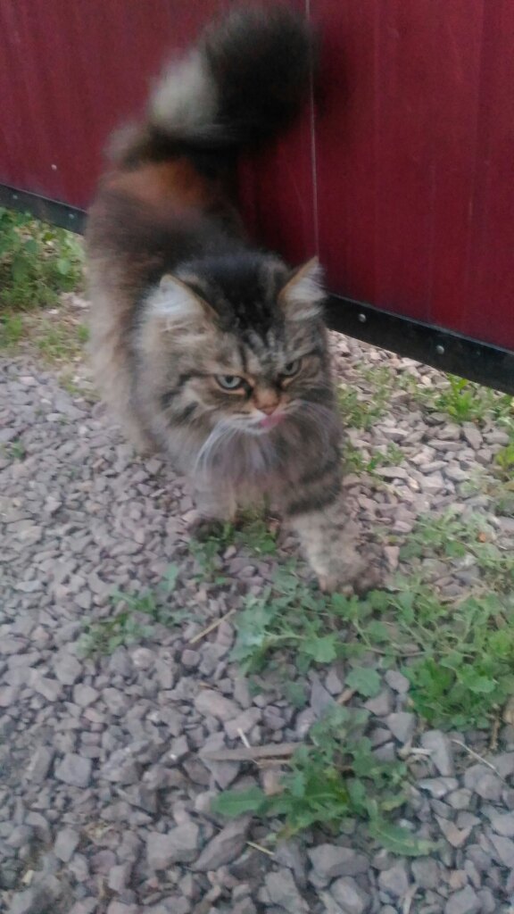 Ирина Емельянова | Магнитогорск