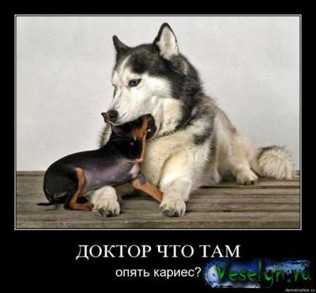 Максим Елисеев | Бугульма