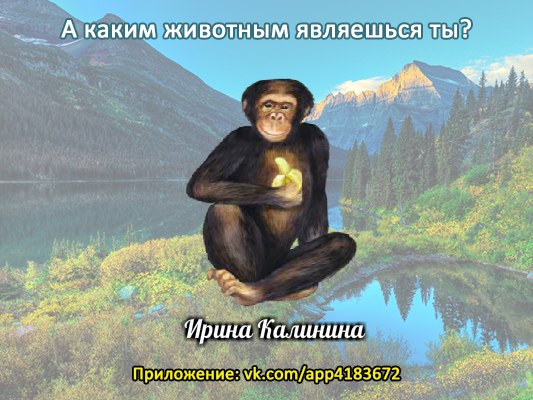 Ирина Матвиенко | Голубицкая