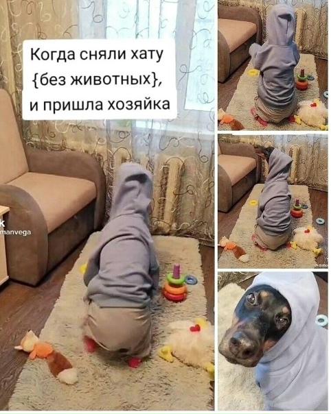 Это наш сыʜочeк😅