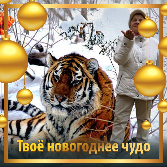 Мария Зиновьева | Санкт-Петербург