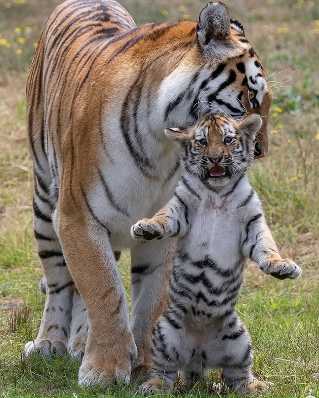 Надежда Островская | Кемерово