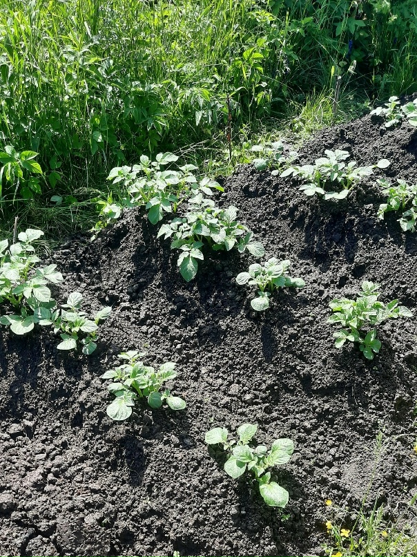 Дарья Плетнева | Санкт-Петербург
