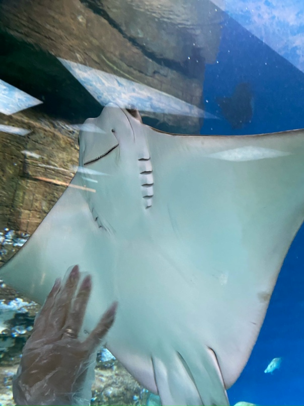 Андрюха Кузнецов | Москва