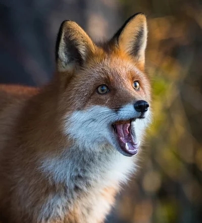 Сергей Ширяев | Оренбург