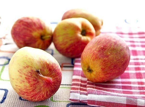 Очень вкусная шарлотка - лентяйка. 01 Очень вкусная шарлотка - лентяйка. 01