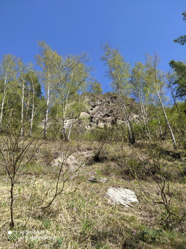 Людмила Котлярова | Новосибирск