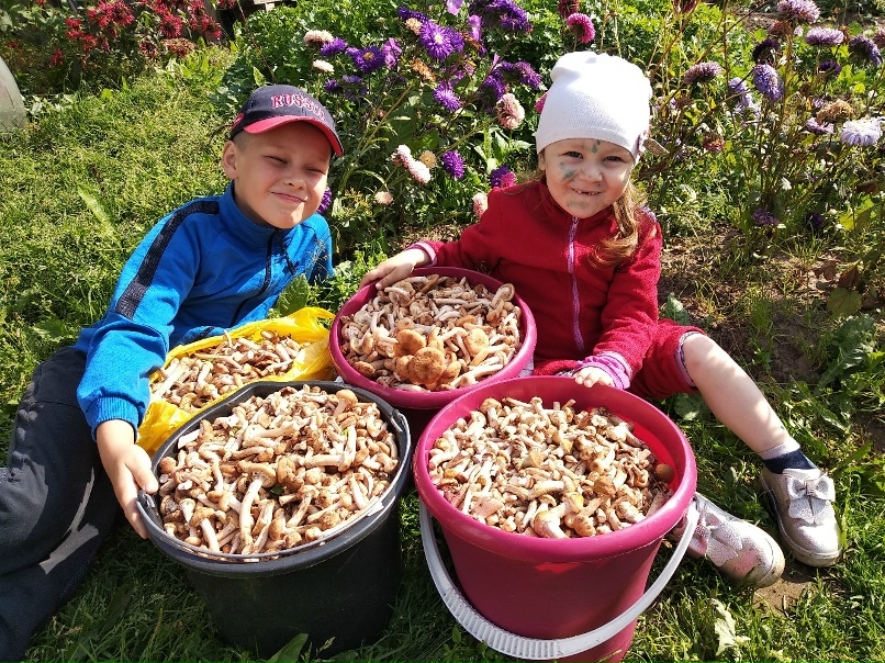 Михаил Емельянов | Можга