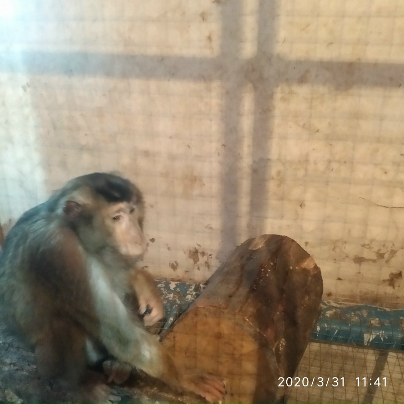 Руслан Омельченко | Иловайск