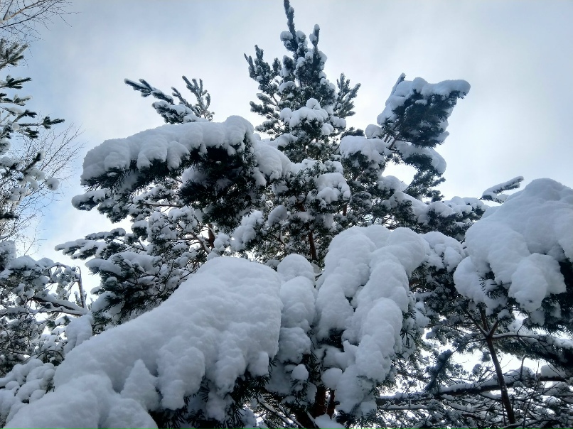 Андрей Ильин PSKAndrey | Псков