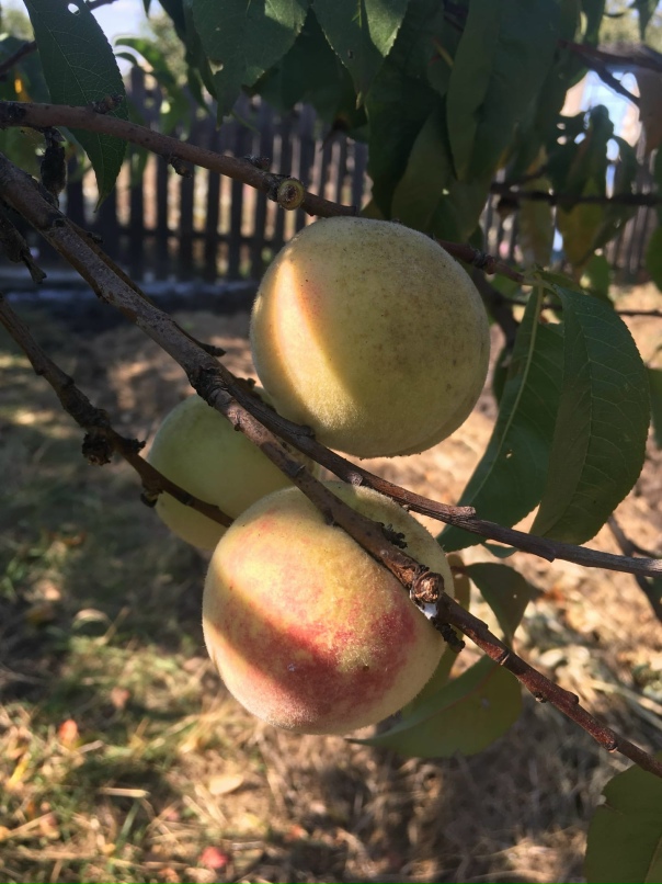 Марина Солдатова | Санкт-Петербург