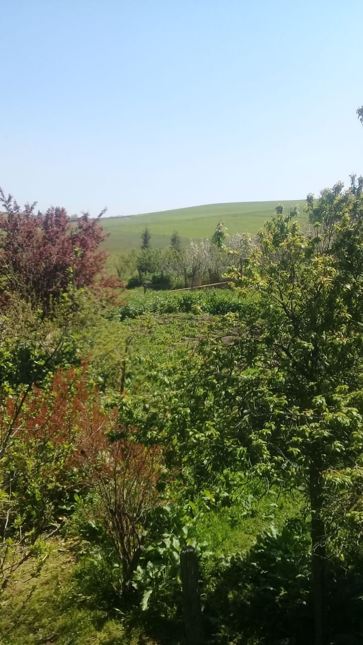 Эльчин Гулиев | Екатеринбург