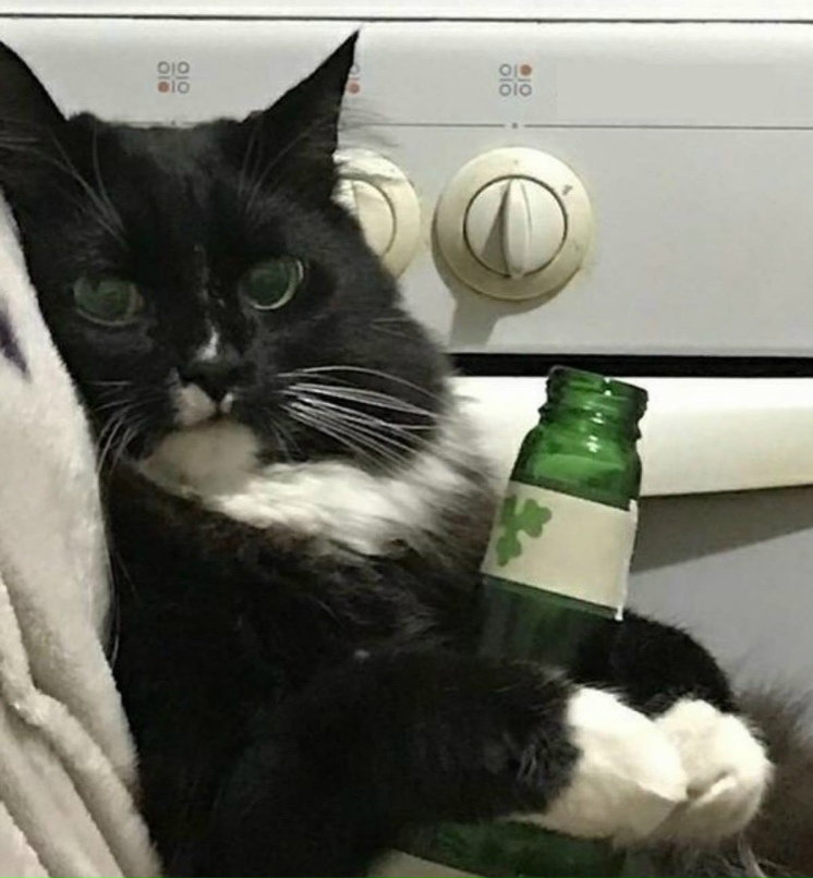 Сергей Федорченко | Хабаровск