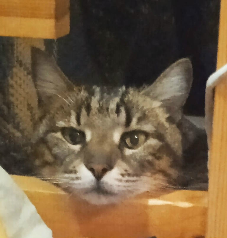 Николай Пронин | Москва