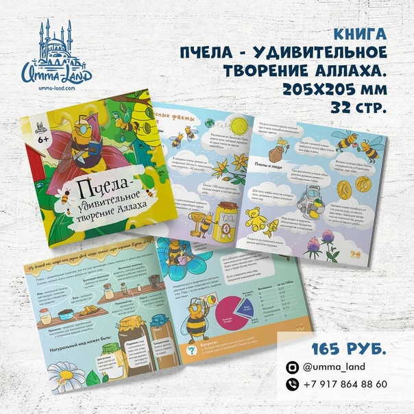 Тетрадь пчела