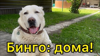 Как живут наши подопечные дома!
