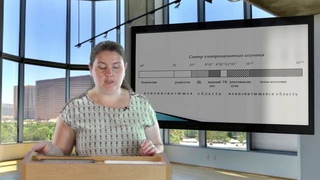 Пчельникова Татьяна Негативные факторы окружающей среды ЭМП и излучение   31 июля 2020