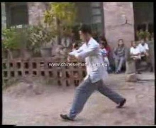 Zhao Yongchang Branch Shanxi Xing Yi Quan
