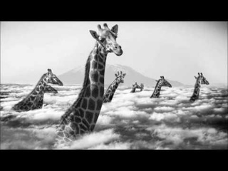 Ark-E-Tech & Käse Kochen - Thrill Neck (Docosc Remix)