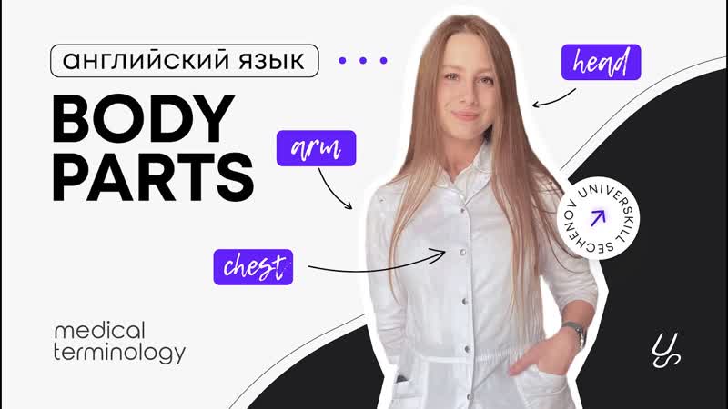 Медицинский английский , Body